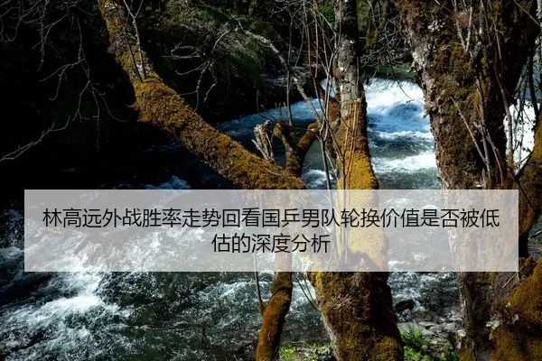 林高远外战胜率走势回看国乒男队轮换价值是否被低估的深度分析