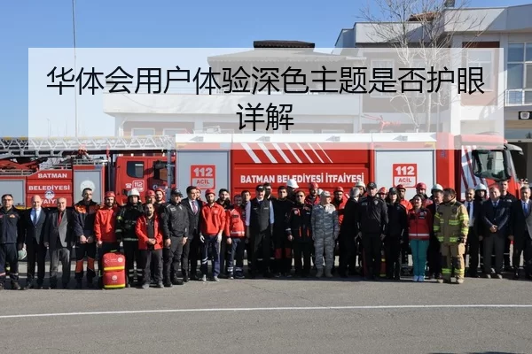 华体会用户体验深色主题是否护眼详解