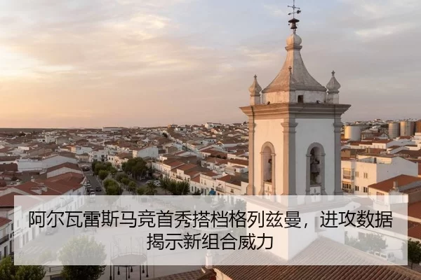 a-er-wa-lei-si-ma-jing-shou-xiu-da-dang-ge-lie-zi-man-jin-gong-shu-ju-jie-shi-xin-zu-he-wei-li-2-993.jpg