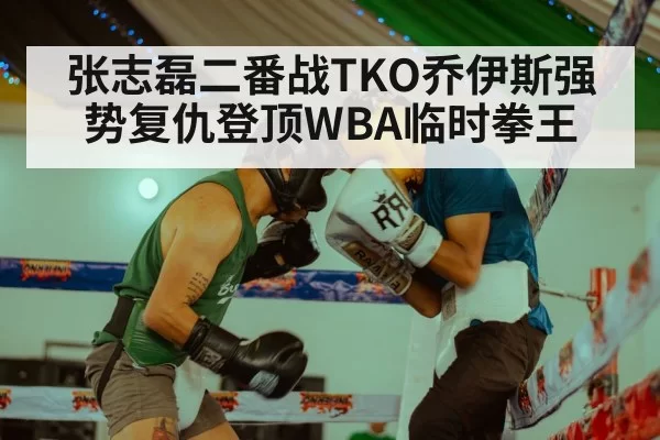 张志磊二番战TKO乔伊斯强势复仇登顶WBA临时拳王