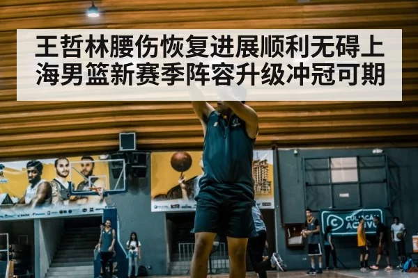 王哲林腰伤恢复进展顺利无碍上海男篮新赛季阵容升级冲冠可期